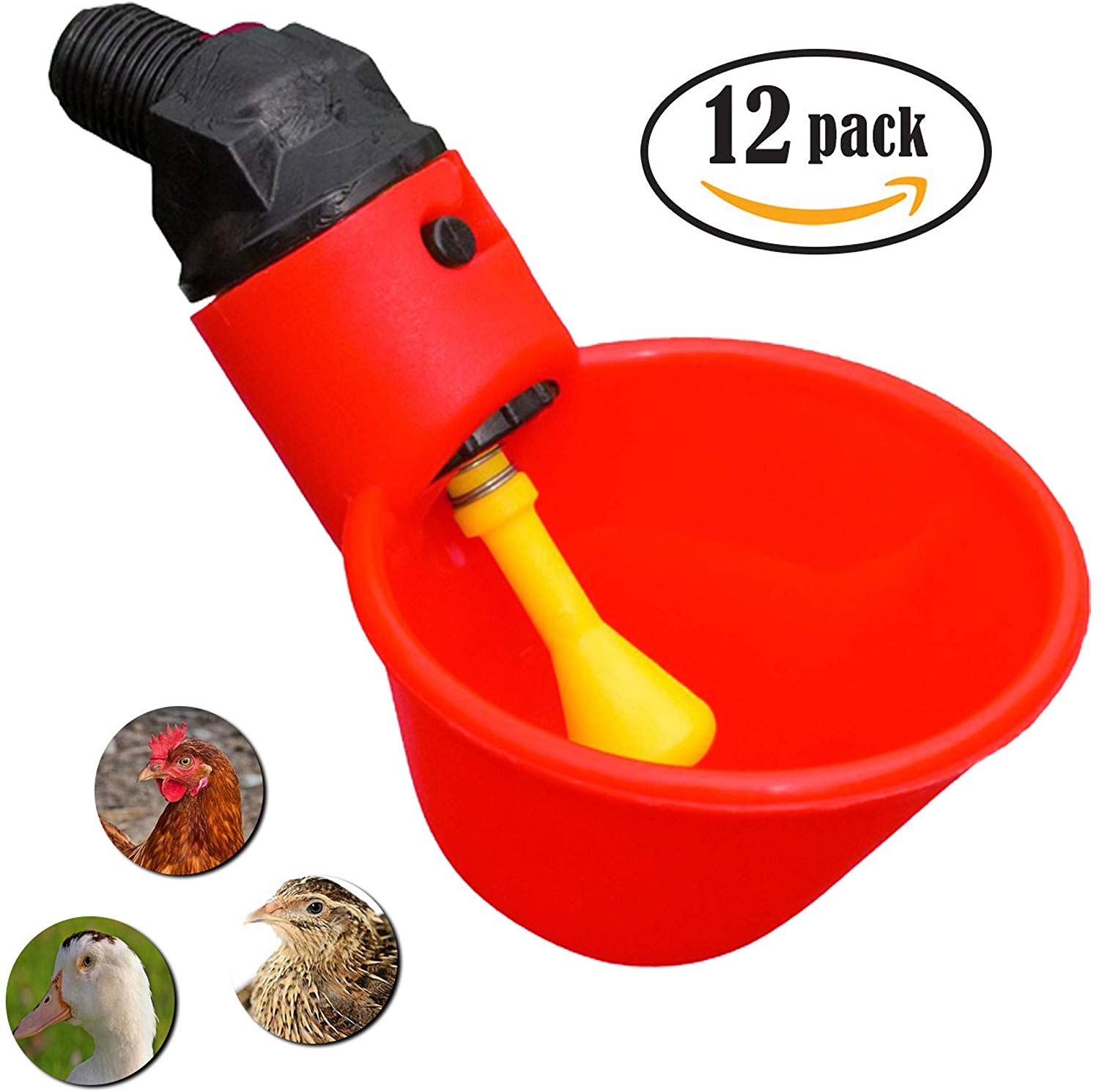 Non Float and Non Peck Type Chicken Waterer Cups Automatic Refill Poultry Drinker Plus 10 Chicken Leg Rings Cruzadel 4 Pack